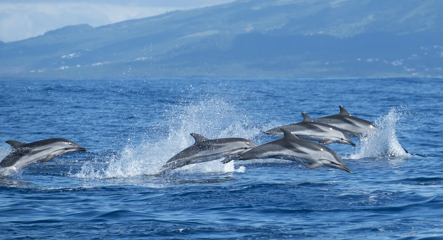 azores